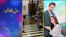 Guddi - Episode 49 - 6th February 2025